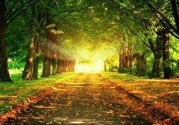 bright-path
