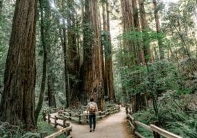 Choosing the right way, making decisions, choices, God's will, finding God's will