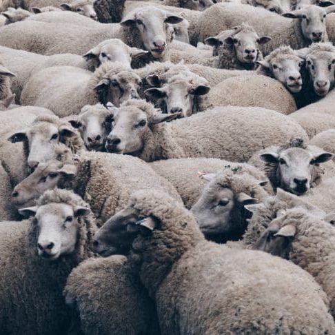 christopher-burns-215Fiqh6hRc-unsplash-768x486