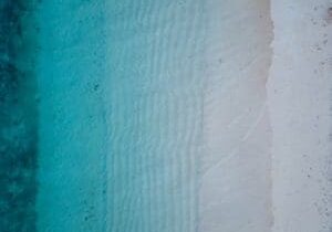 damon-hall-Dz5bJq_nEng-unsplash