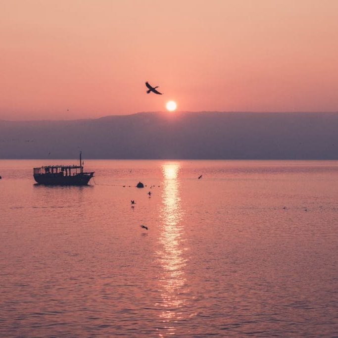 dave-herring-wzsAEYNb-VI-unsplash