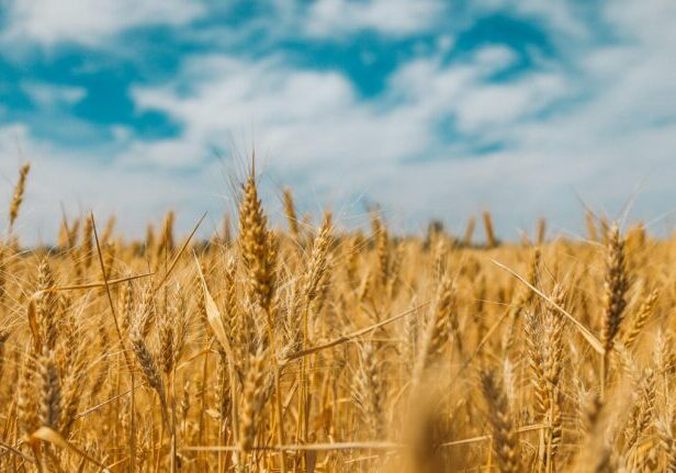 Working through Your Weariness is often necessary. Even the best workers get tired. Jesus did. In His perfect humanity, He still grew weary.