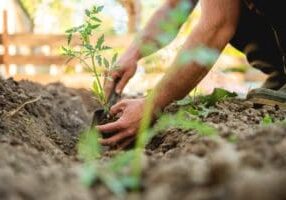 Encouragement for Single Adults: God is not finished with you. Keep moving forward with the Lord, and you will find all He has prepared for you.