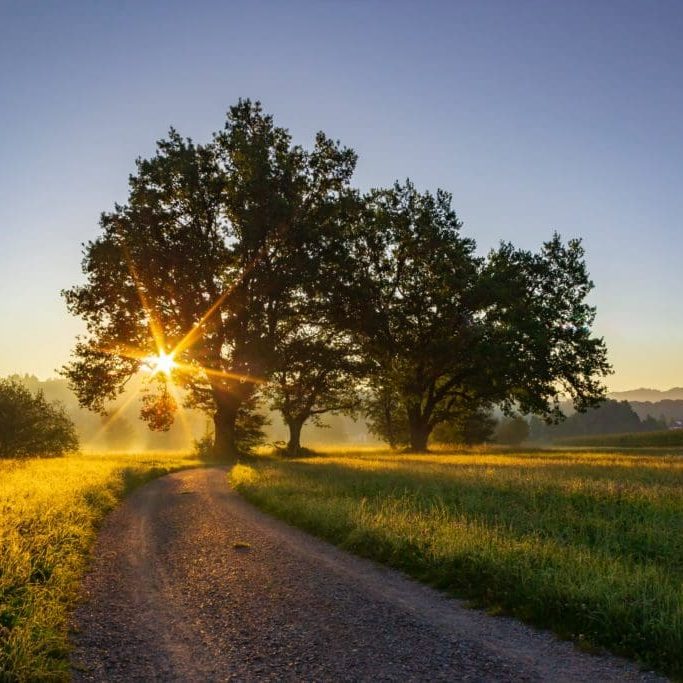 jan-huber-AXTcyzKtoYs-unsplash