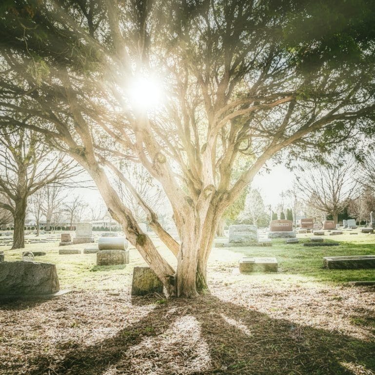 kevin-andre-vohTY5Yl3_A-unsplash