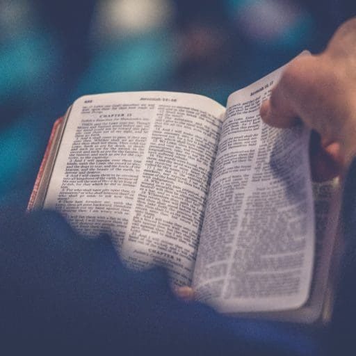 Pay attention to every word of the Word! Here are 3 things to look for while you study the Bible