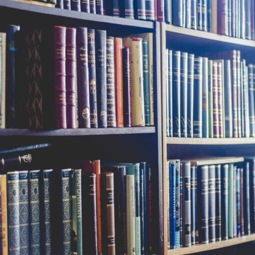 sergi-ferrete-Zu4lgBF_7FQ-unsplash-768x509